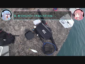【VOICEROIDフィッシング】ことづり！ #3_ライトショアジギで青物を釣ろう！