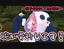 ロードレースで骨折する笹木咲【Wii sports resort】