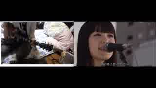 don't cry anymore miwa／耳コピ