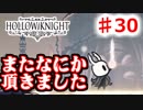 　【Hollow Knight】虫嫌いのホロウなナイト#30