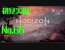 【初見実況】Horizon Zero Dawn【66】