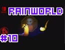 命がけのサバイバル！RainWorld実況するで#10【Switch/日本語版】
