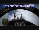 Ace Combat 7 Multiplayer237  バトルロイヤル  F-15J + HCAA