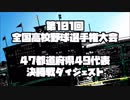 [甲子園] 第101回全国高校野球選手権大会 地方大会決勝戦ダイジェスト