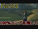 【FF10-2（二週目）】私、カモメ団に入団します！☆パート54【実況】