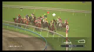 【ウイニングポスト8 2015】女馬主と早世馬の新世界【実況プレイ】361