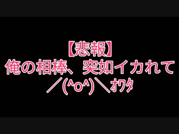 【お知らせ】相棒(タブレット)がイカれました。
