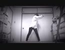 【佐倉桜修.*✿】ECHO 踊ってみた