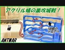 アクリル蟻の巣攻城戦！忍び込む100匹のシロアリ。