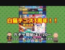 【白猫テニス】祝3周年！79連ガチャした結果ｗｗｗｗｗｗｗｗｗｗｗ【おじさんと仙人】