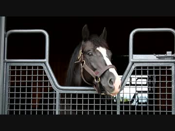 ゴールドアクター 2019