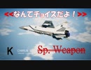 Ace Combat 7 Multiplayer238  バトルロイヤル  MiG-31B