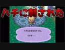 [GC]どうぶつの森＋#04 風水で運気あげる