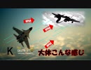 Ace Combat 7 Multiplayer239  バトルロイヤル  Su-37 + HPAA