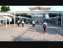 青海展示場→東京ビッグサイトまでの道～コミケ96カタログ紹介ルートを撮ってみた