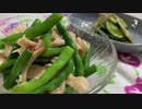 無限おつまみいんげん/ミョウガときゅうりの浅漬け【簡単ボッチめし】