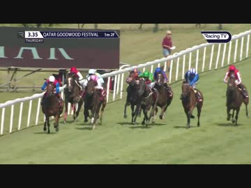 【超高画質】レコードタイム！　ディアドラ大金星！　英ＧＩナッソーＳ制す！