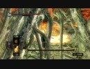 DARK SOULSをクリアすることが出来るのだろうか【緩やかなる実況】PART28