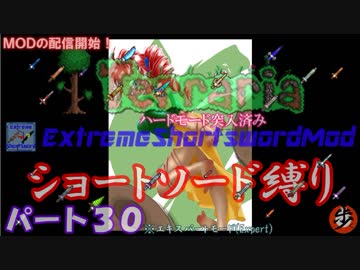 [Terraria+MOD]　ショートソード縛りEX パート３０　[ゆっくり実況]