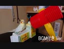 ピコピコハンマー状態