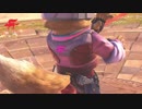 【スマブラSP】VIPフォックスPart25【ゆっくり実況】