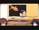SCP財団幻想郷支部が行く！第23回[生物災害]