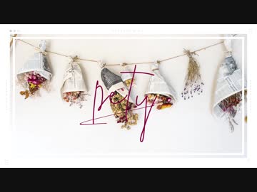 pety / 楽園市街＋初音ミク＆GUMI