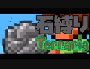 【Terraria】石縛りテラリア【実況】 Part1