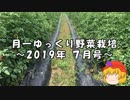 月一ゆっくり野菜栽培 2019年7月