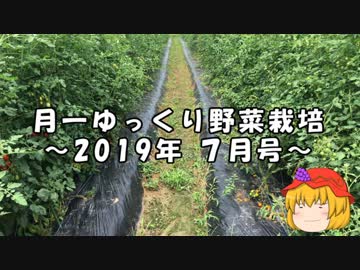 月一ゆっくり野菜栽培 2019年7月