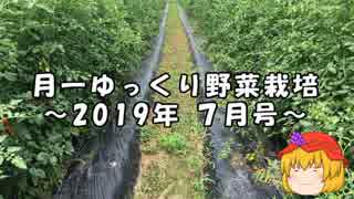 月一ゆっくり野菜栽培 2019年7月