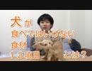 【犬の豆知識】犬に絶対食べさせてはいけない食べ物１３項目(YouTubeで『ワンチュー犬』を検索！)