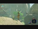 【実況】念願の「ゼルダの伝説 ブレスオブザワイルド」を楽しむゲイ【16】