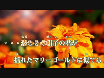 ニコカラ】マリーゴールド（Off Vocal）【あいみょん】 - ニコニコ動画