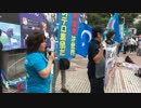 2019年07月21日 WhiteBlue19 ウイグル支援 世界同時デモ 東京集会