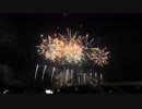 【2019】第51回 豊田おいでんまつり 花火大会「Hanabiミュージアム」