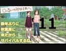 数年ぶりに秋葉原に来たからサバイバルするね。#11【じんるいのみなさまへ】