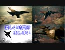 Ace Combat 7 Multiplayer243  バトルロイヤル  F-16C + SASM