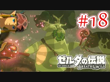 【ゼルダの伝説ブレスオブザワイルド実況】3Dで広大な世界を自由に走り回れる楽しさをおすそ分け！？part18