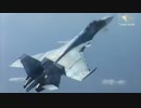 スホーイ戦闘機  「Burnt Red」