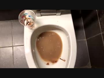 人気の トイレ 動画 1 7本 4 ニコニコ動画