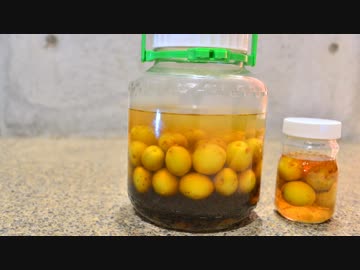 自分だけの梅酒を作ろう！