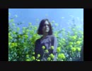 For Tracy Hyde - 櫻の園