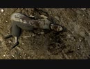 WITCH HUNTで怪物狩りpart1