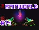 命がけのサバイバル！RainWorld実況するで#14【Switch/日本語版】