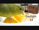 これが私のDead by Daylight　13【ゆっくり実況】