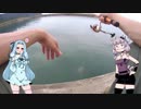 【VOICEROID車載＆釣り】ゆかズマ！part11【海釣りアジ編】