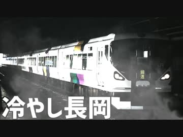 冷やし長岡【冷やし×長岡駅】