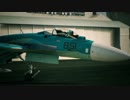 [ACE COMBAT7] This is war [MAD]