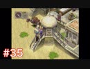 半身を求めてブレスオブファイアⅣをほぼ初見実況　part35